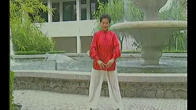 3e5a46bc66340adc12d9e2a6ab173c01