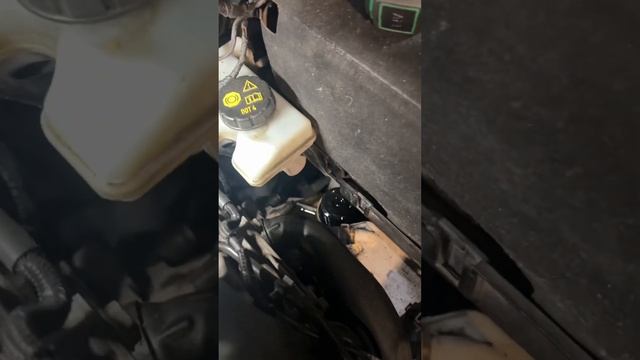 Домашнее счастье