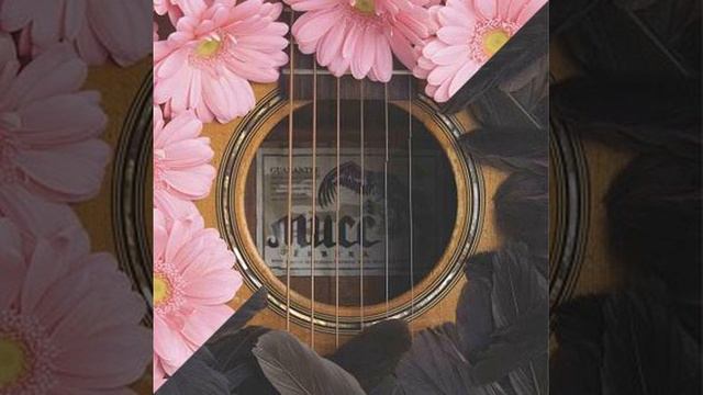 MUCC - Gerbera English Subs
