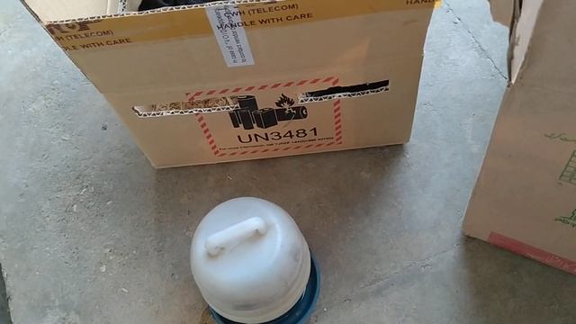 Ayam Cemani Information And Cargo | Black Meat Chicken