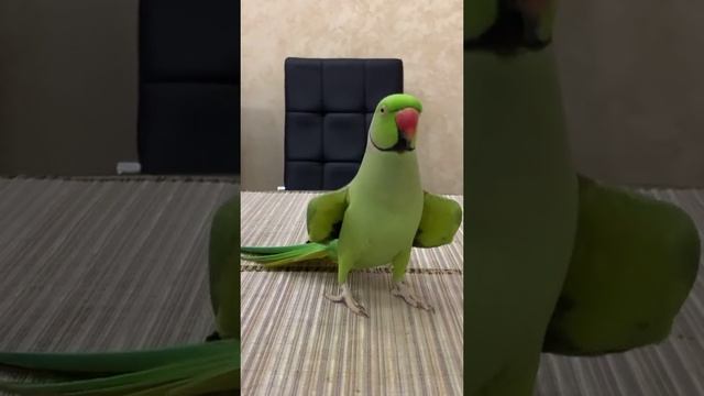 0b8d3bcfbcf4f07f9917d8b5f700fbfb