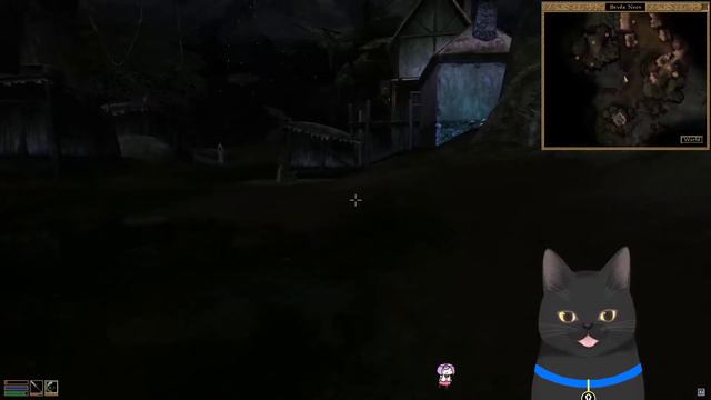 Playing A Cat As A Cat In Morrowind