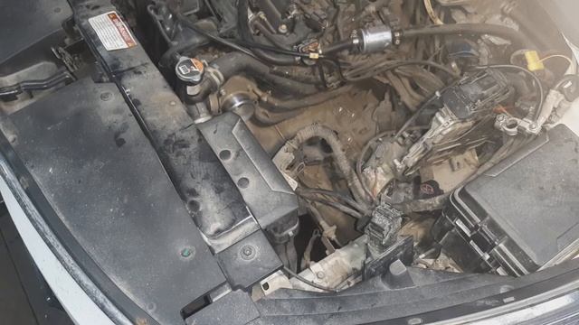 Умелый Садовник