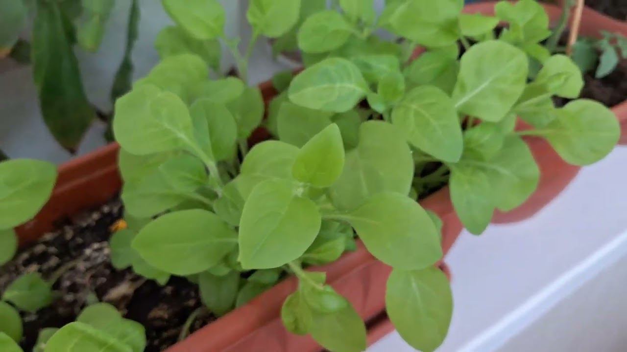 Afcd430b5a73320b6ee706f3b48055cc