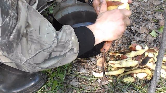 рыбалка в реке Ельчёвка#2. Поход с ночёвкой. Кто хозяйничал, пока я спал