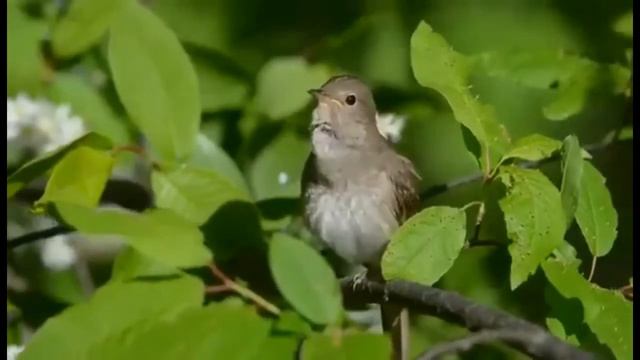 В ожидании весны!