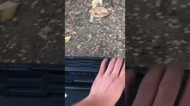 Вдохновение для дома