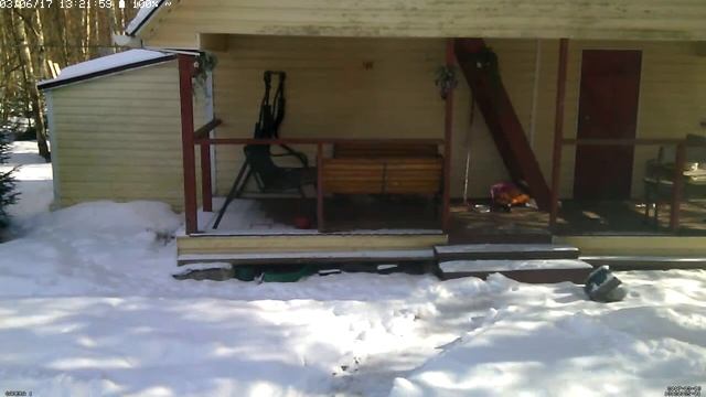 Зимняя жизнь дачных котов (Live)