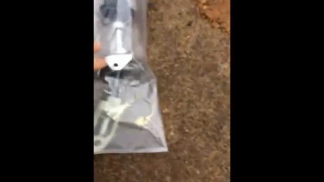 Plant Life Adventure Channel