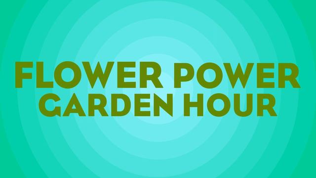 906fd80d4df46fa1d6b1a299de684389