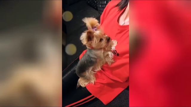 Бузова Ольга