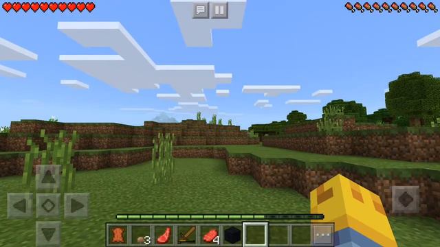 Мы играем по сети в майнкрафт с моим другом