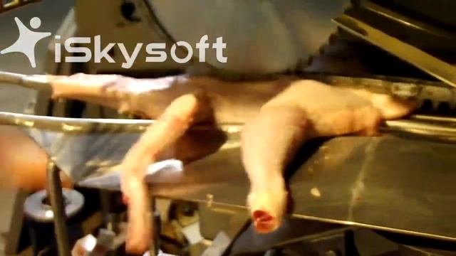 разделка птицы