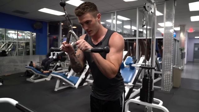 7 Tricep Exercises For Bigger Arms (DON'T SKIP THESE!) | V SHRED