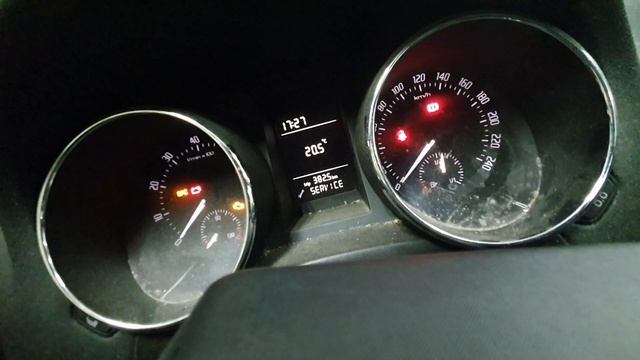 Borrar Inspeccion Skoda Yeti