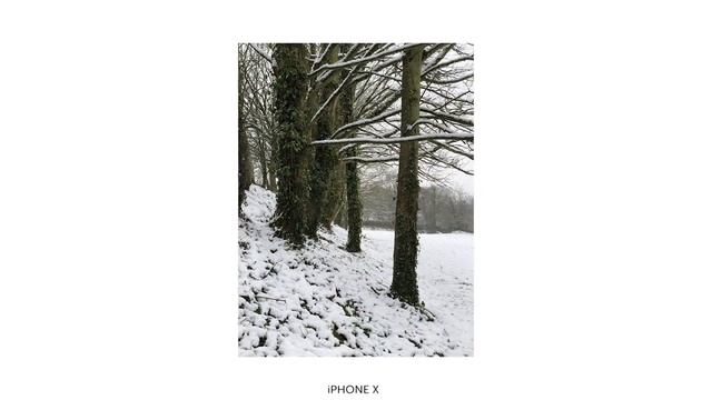 IPhone X Camera VS Canon AE-1 | Analog 35mm Film Camera!