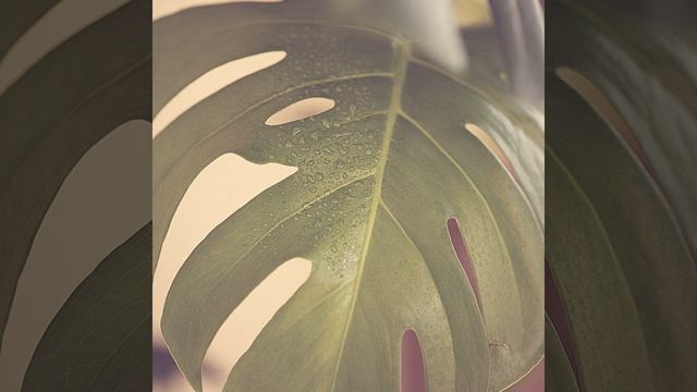 Атмосфера (Отдыхает)