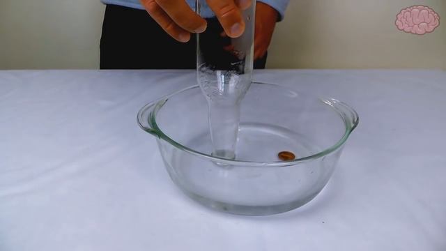 7 Невероятных Экспериментов Которые Вас Удивят