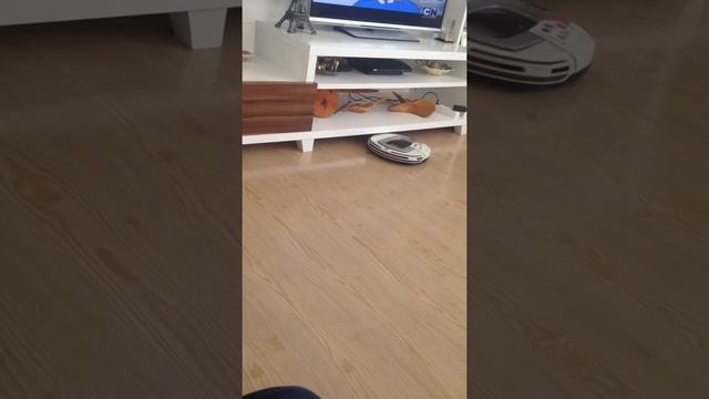 Akıllı Temizlik Robotu ( Hoover )... Robot De Limpieza Inteligente... Intelligent Cleaning Robot