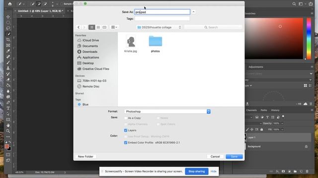 DS2 Silhouette Collage