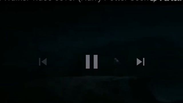 Liy Potter Y Snape Y James Y Petunia Treat You Better