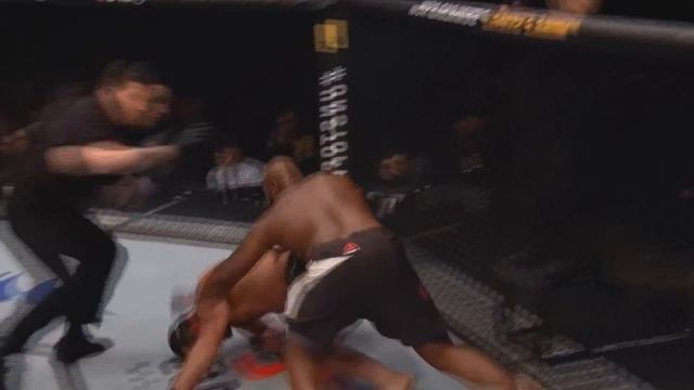 Деррик Льюис vs Алексей Олейник • Мнение к бою UFC Fight Night