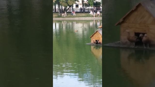 Чистые пруды