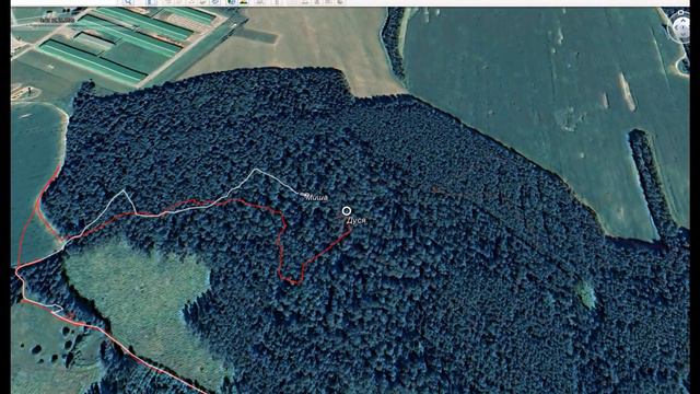 Охота на зайца с Русской гончей 15 12 20