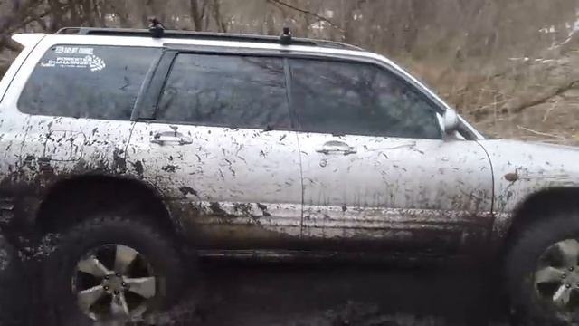 Путешествия с Домашними Питомцами