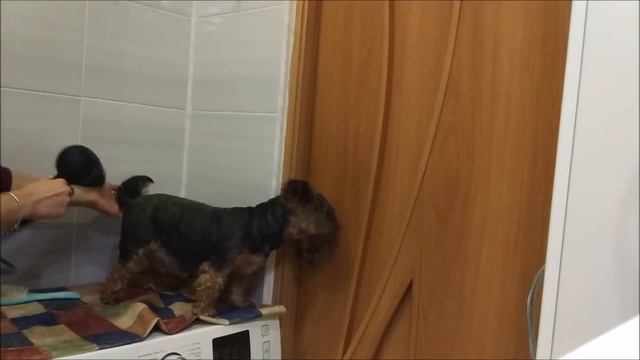 4708697974fd7f97dd042177c2195f8c