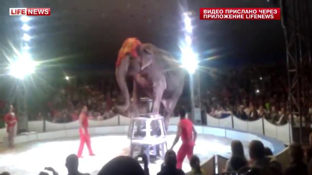 C19ed7676a8c9112853a0051005a4e59