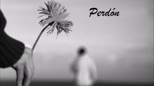 Lo Siento Perdón Gracias Te Amo - Ho´oponopono -Música De Darwin Grajales