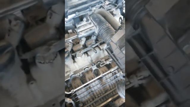 Фитнес-Оазис