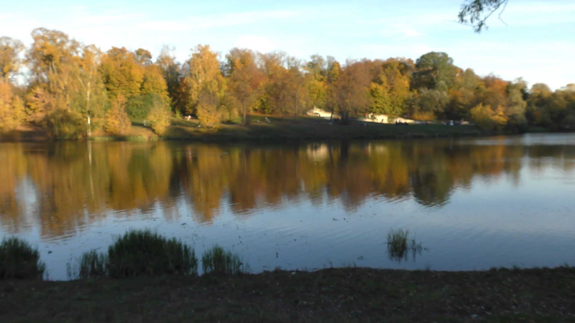 Eca4ae1b0a299c12d114d5fe80fc32c7