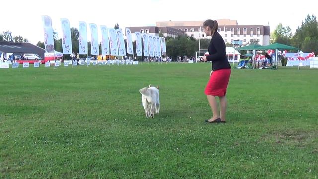 B2b706c9d0359c4d7f921da56406915d