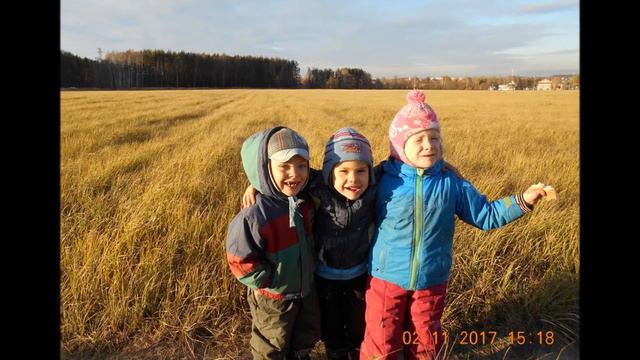 042f87fe665abde26c8a7f81f1d1cd4a