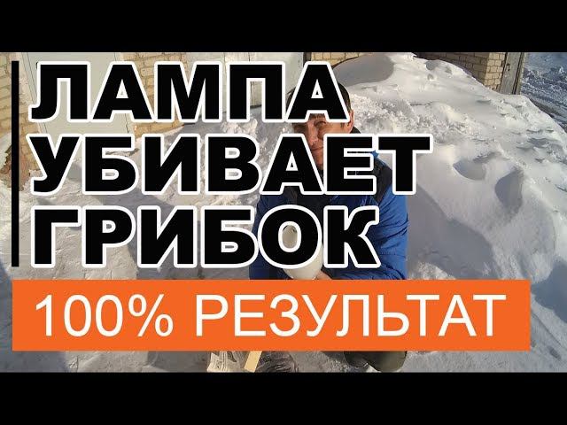 Как УБИТЬ Грибок  в Бане  Применяем  КВАРЦЕВАНИЕ