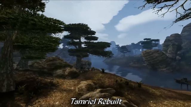 B65970f9d8029f73144910683b56a586