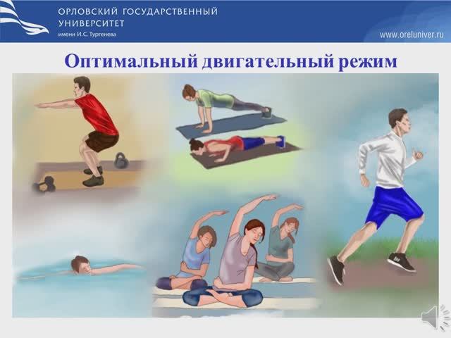 Оптимальный двигательный режим (смешарики)