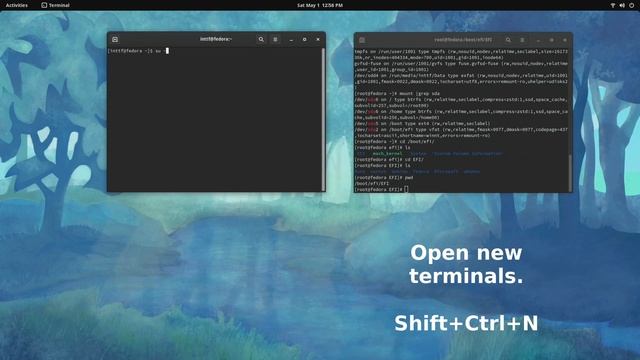 Delete UEFI boot entry - Remove Unwanted UEFI Entries on Linux using efibootmgr