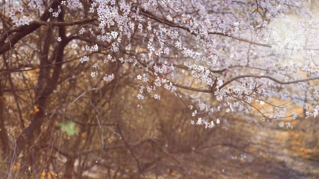 Aa59443ab467eee110dfcb6654a51829