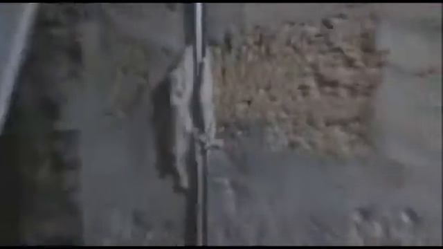 D15821a987765bef80dc4f17ddaa5d5f