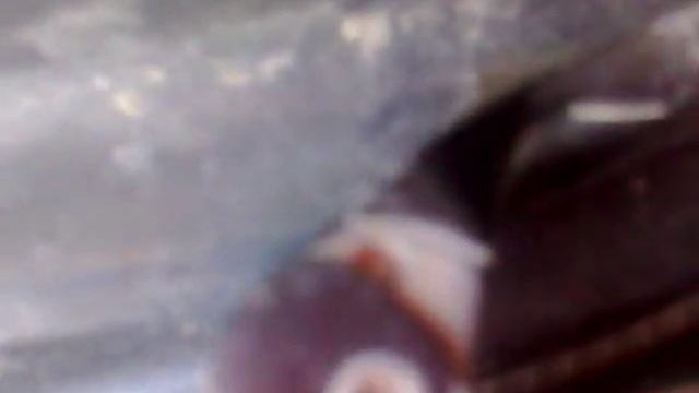 Творческие детали