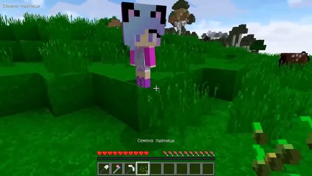 6ecc792bb45900dea6bb25f568726fdb