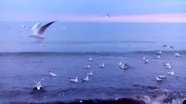 3b610a427294aae7548b948cc393c994