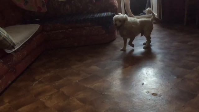 78fb4f00295a9c129de10f05d679c1fe