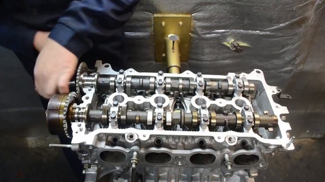 Грибные кулинарные мастерские