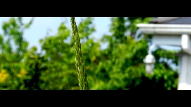 DEPTH OF Field NIKON Coolpix P500