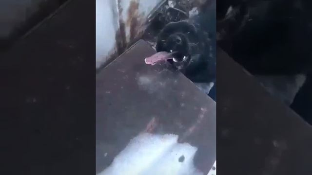 C5d28766a76cc3a9d97ab69ad1a02263