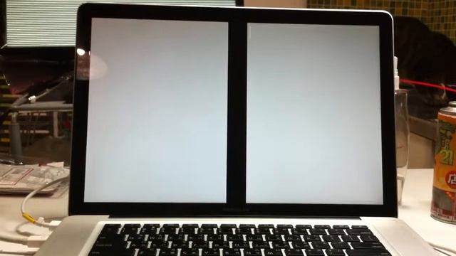 MacBook Pro (15吋, Mid 2010) 螢幕閃各式線條雜訊